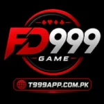 FD999 Game